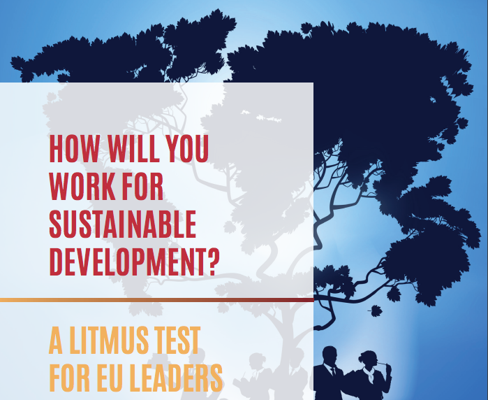 CONCORD’s Litmus Test for EU leaders: how will your work for sustainable development?